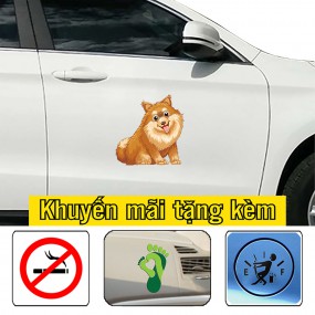Sticker dán sườn xe ô tô
