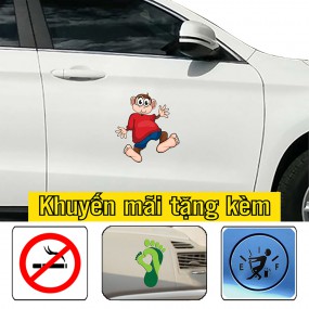 Sticker dán xe hơi trang trí