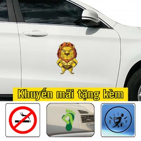Sticker dán xe ô tô phong cách