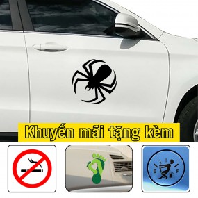 Decal dán sườn xe hơi