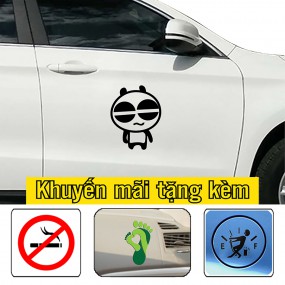 Decal dán sườn xe hơi