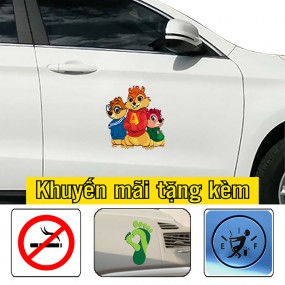 Decal dán sườn xe ô tô