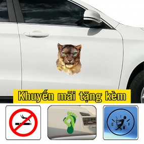 Decal trang trí sườn xe 4 chỗ