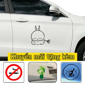 Decal trang trí sườn xe 4 chỗ