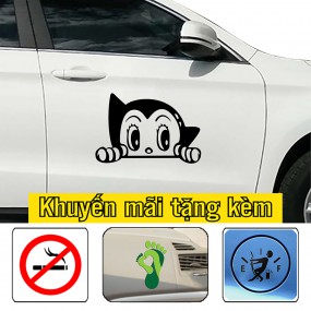 Decal trang trí sườn xe hơi