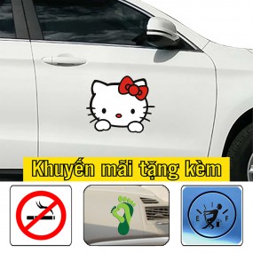 Decal trang trí sườn xe hơi