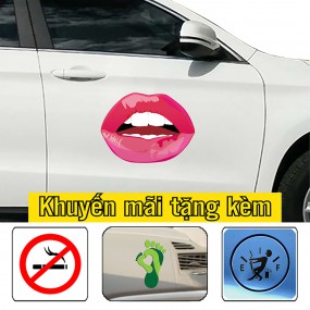 Decal trang trí sườn xe ô tô mới lạ