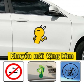 Decal trang trí sườn xe ô tô