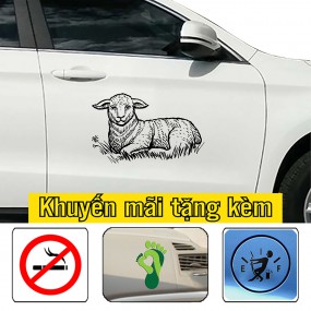 Decal trang trí sườn xe