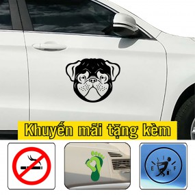 Miếng dán xe hơi trang trí