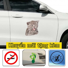 Sticker dán sườn xe ô tô