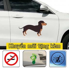 Sticker dán xe hơi trang trí