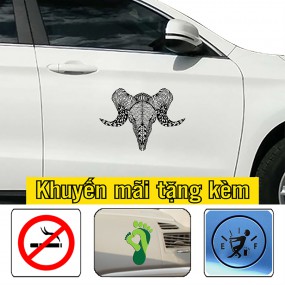 Sticker trang trí xe hơi phong cách