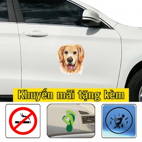 Tem trang trí sườn xe hơi cao cấp